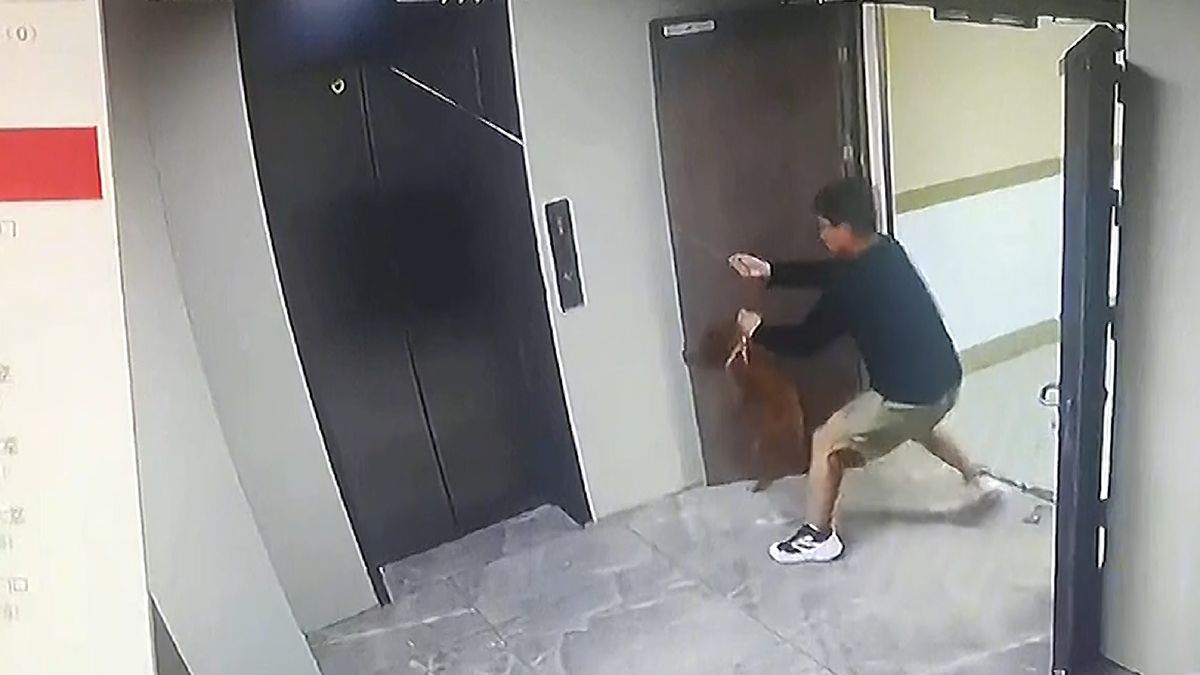 Psa smýkal za vodítko výtah. Zachránil ho pohotový kolemjdoucí